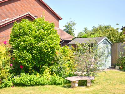 Picture 21